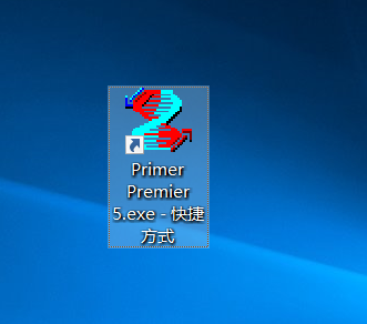 Primer Premier 5中文版