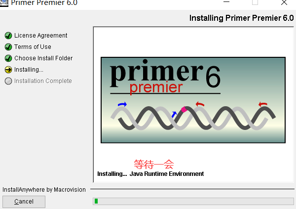 Primer Premier 6下载安装